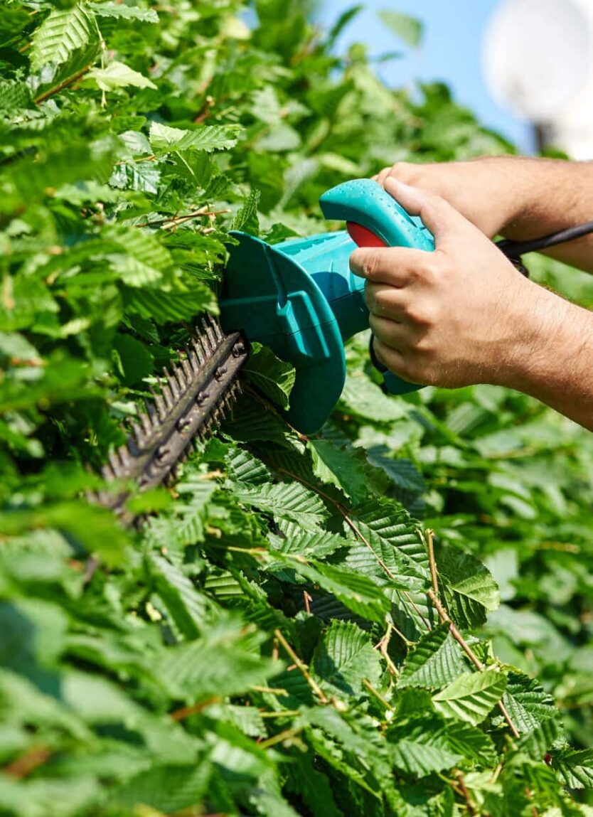 Tree Insurrance Tree Service Insurance | Thimble