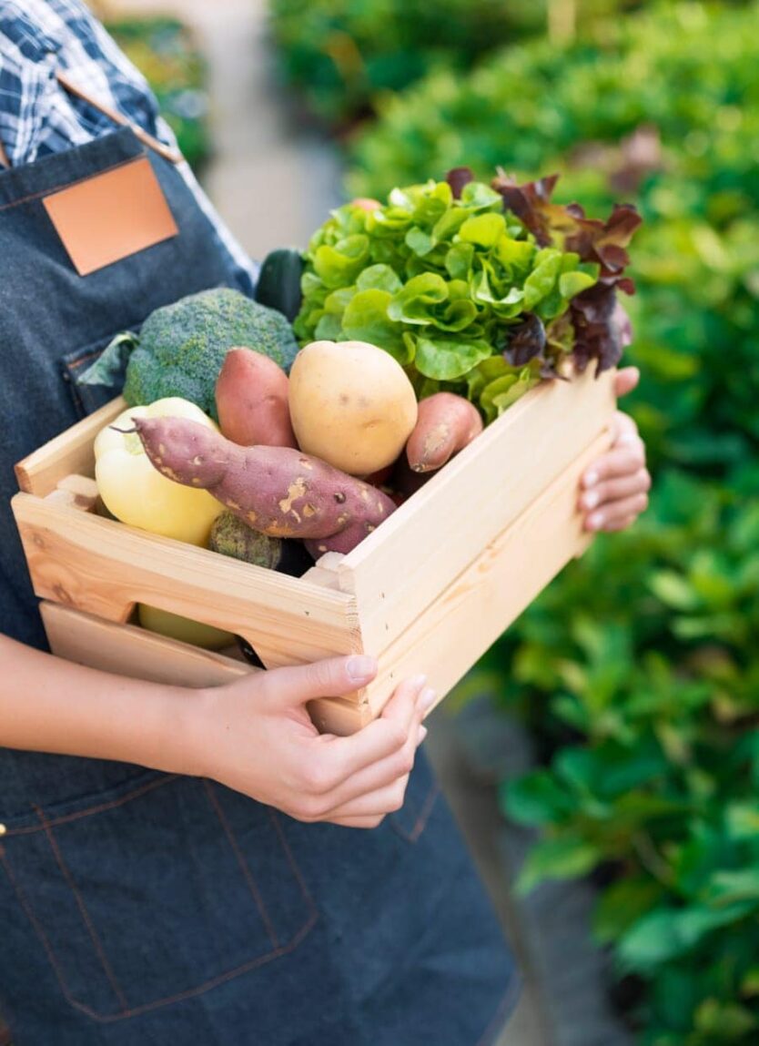 Farmers’ Market Insurance | Thimble - Farmers Market Insurance Management