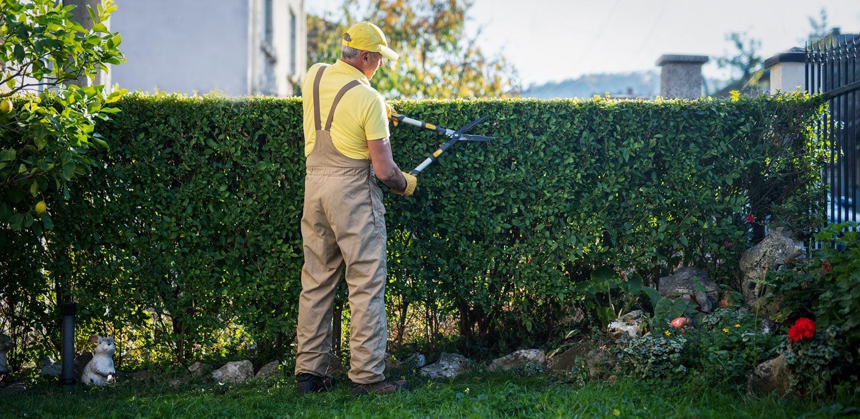 Man trimming bushes