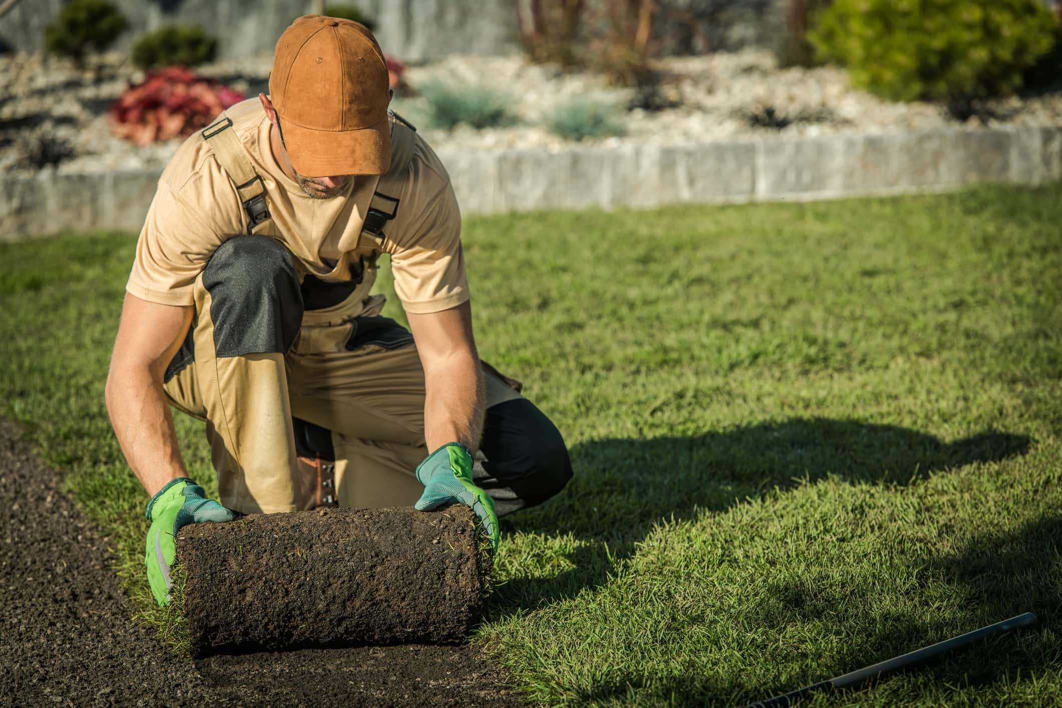 Installing Natural Grass From Roll