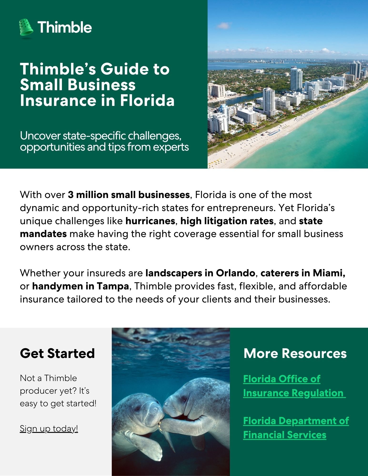 Thimble 2025 State Guide NY