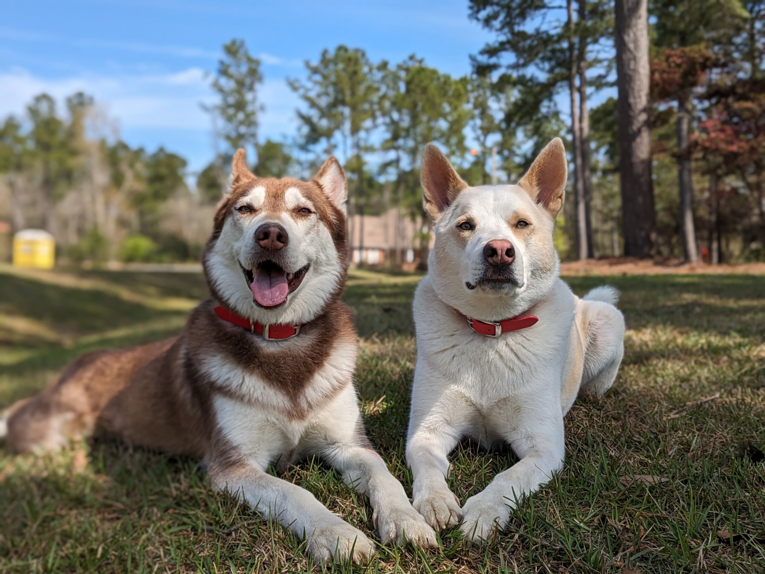 Fig and Butters from Gulf Shores AL scaled