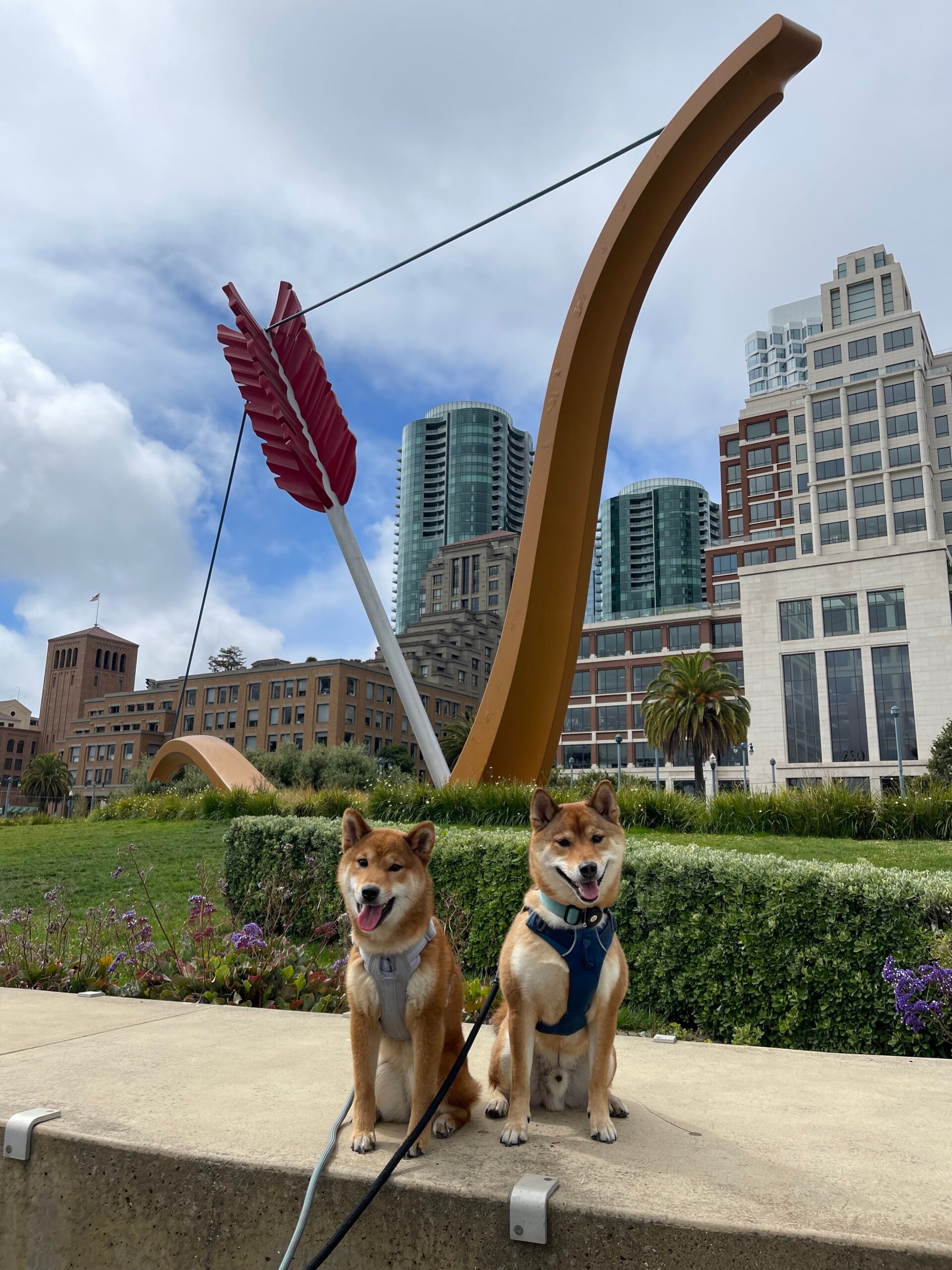Nobu and Yeowoo from Daly City CA scaled