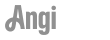 gray-angies-list